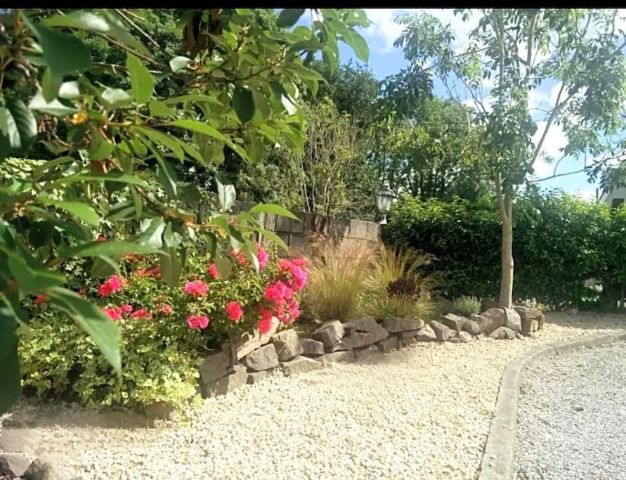 Foxhollow House Blarney Exterior foto