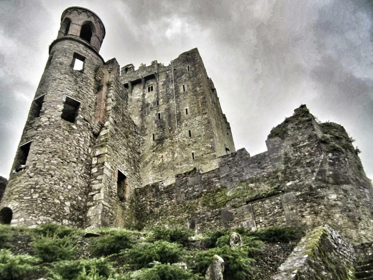 Foxhollow House Blarney Exterior foto