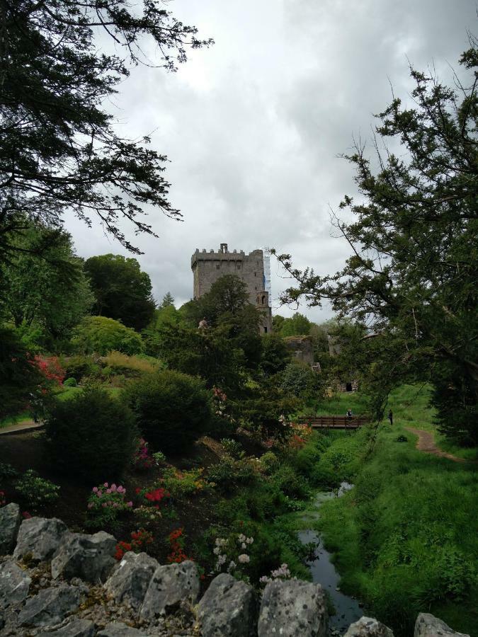 Foxhollow House Blarney Exterior foto